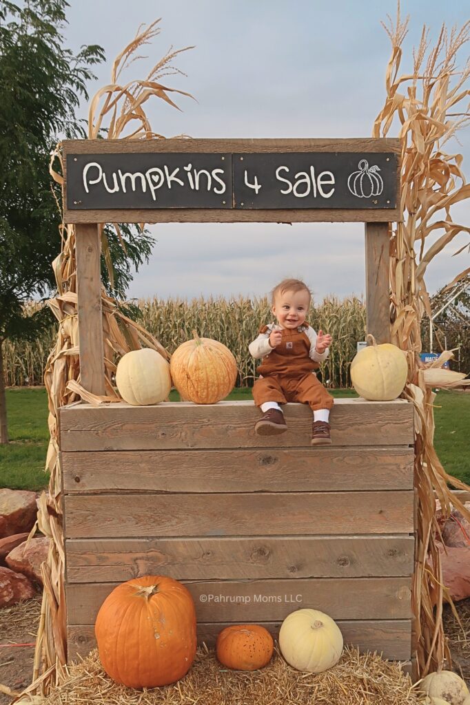 toddler at pumpkin patch for DIY Fall family photo