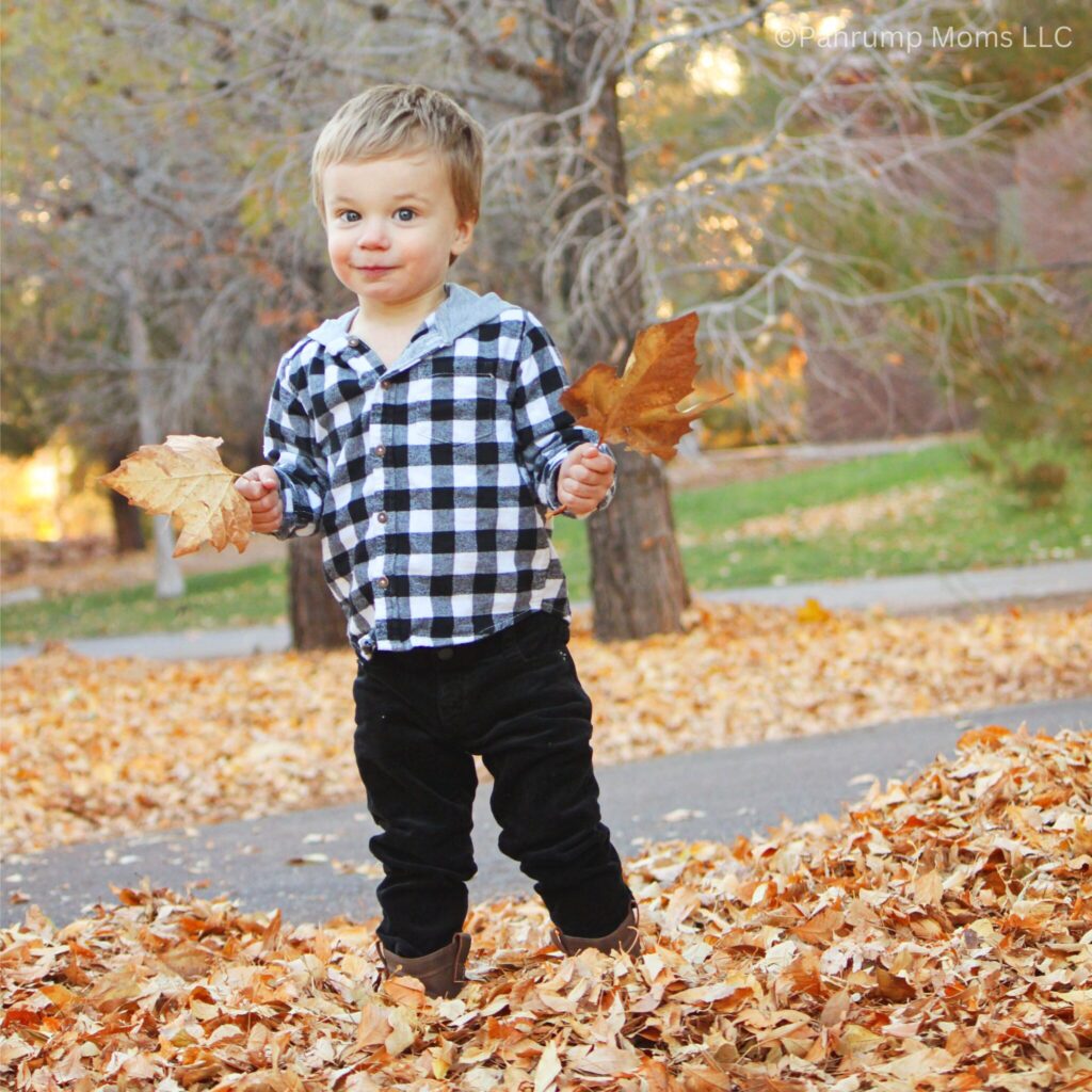 DIY Fall family photo of child holding leaves