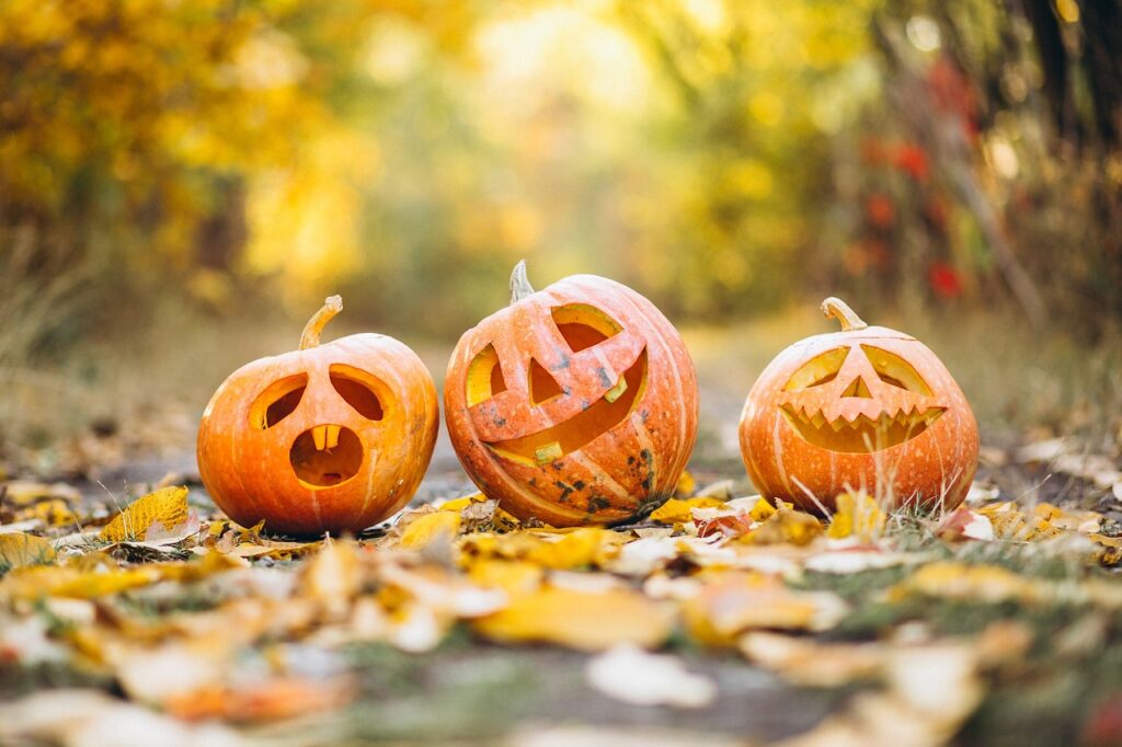 pumpkin, halloween, tradition, Trunk or Treats in Pahrump