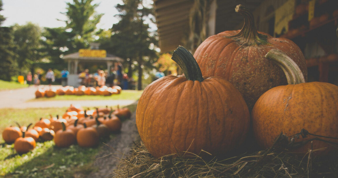 5 Best Fall Family Things to Do in Pahrump