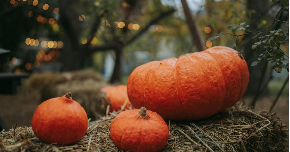 10 Reasons We’re Excited for PDOP Pumpkin Days in Pahrump