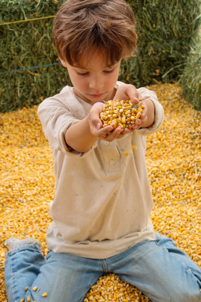 child holding corn in corn jump at PDOP Pumpkin Days