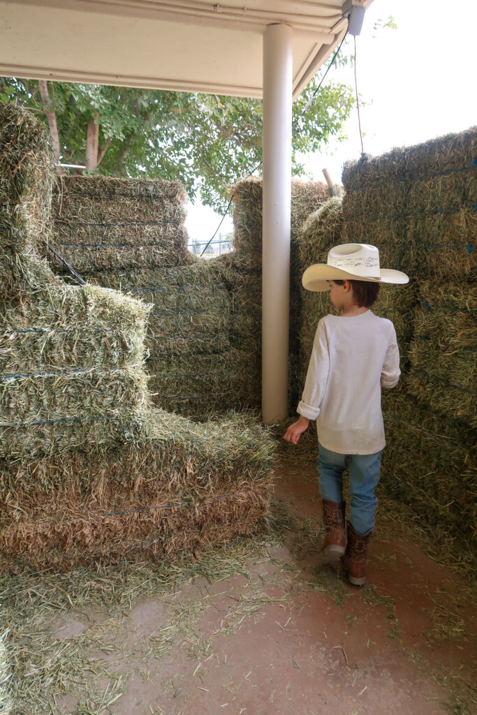 hay maze at PDOP Pumpkin Days