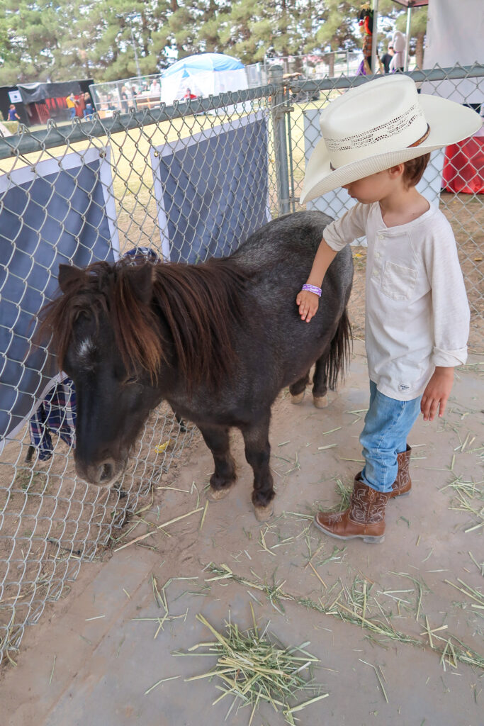 petting zoo at PDOP Pumpkin Days